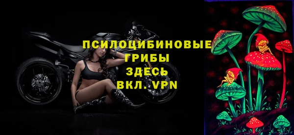 спиды Аркадак