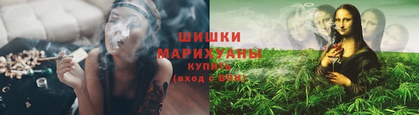 крисы Арсеньев
